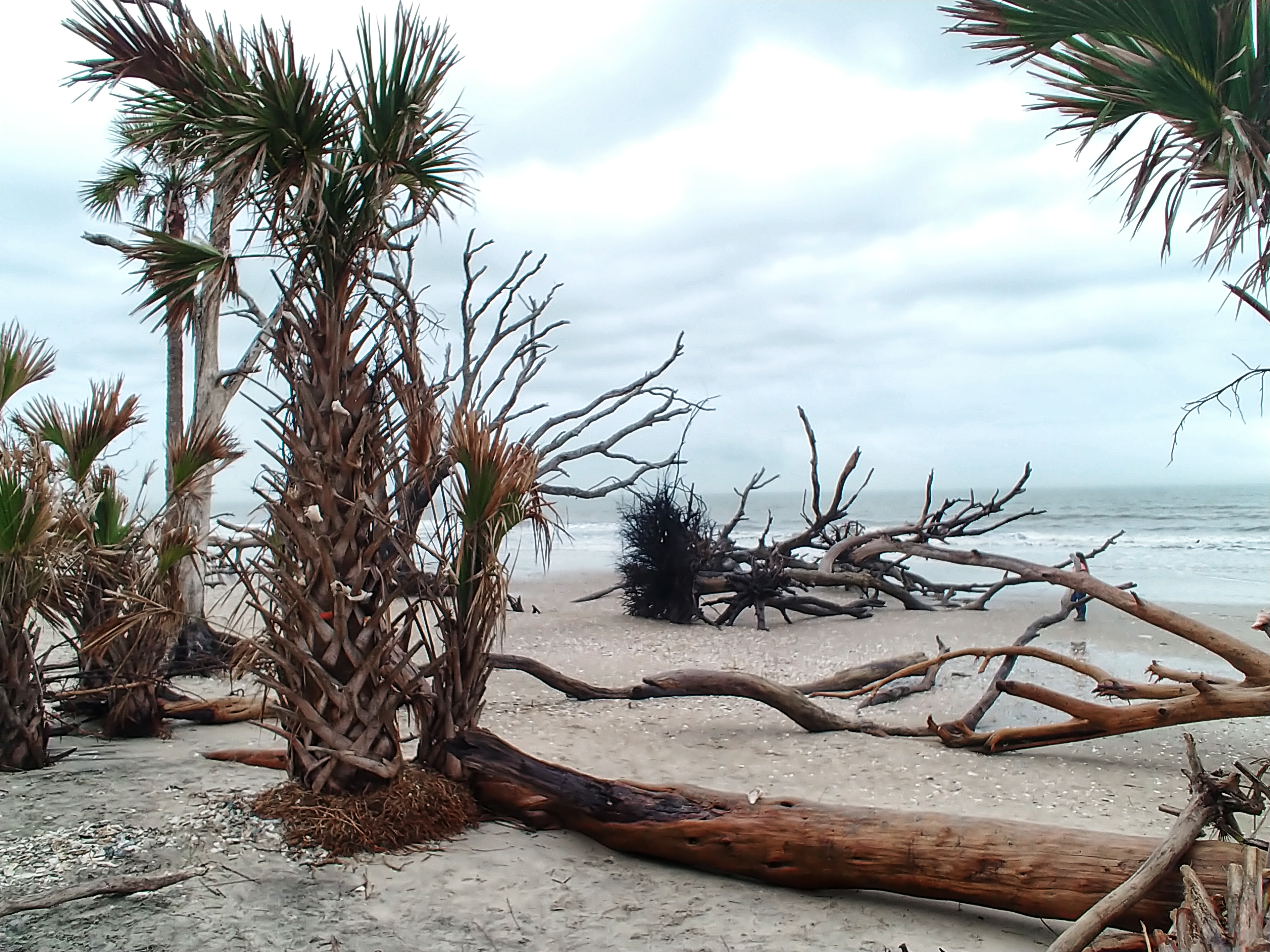 Botany Bay in Winter